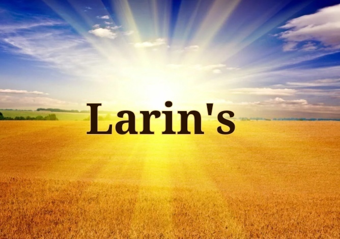 Larin*S